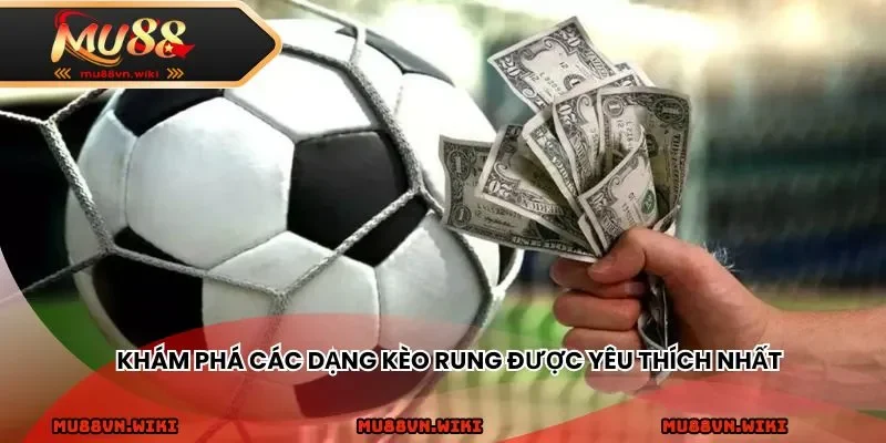 Khám phá các dạng kèo rung được yêu thích nhất