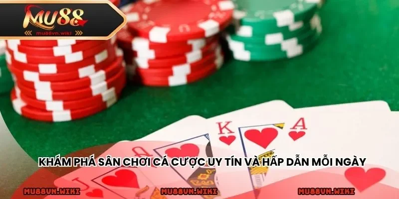 Khám phá sân chơi cá cược uy tín và hấp dẫn mỗi ngày