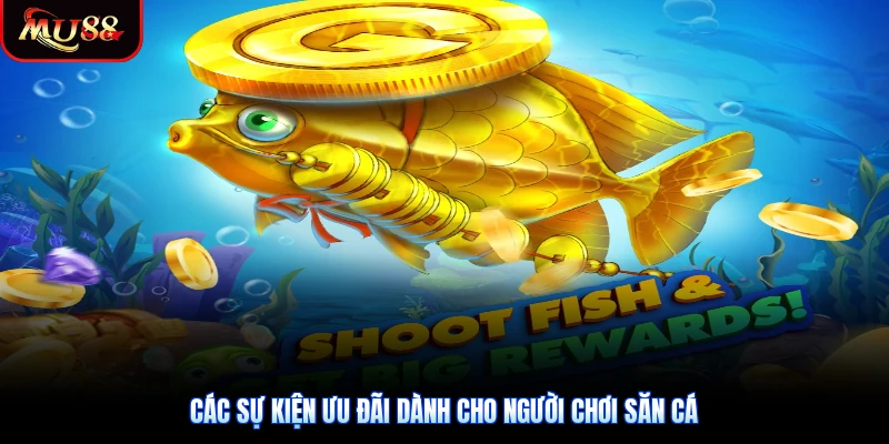 Các sự kiện ưu đãi dành cho người chơi săn cá