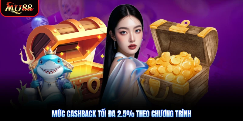 Mức cashback tối đa 2.5% theo chương trình